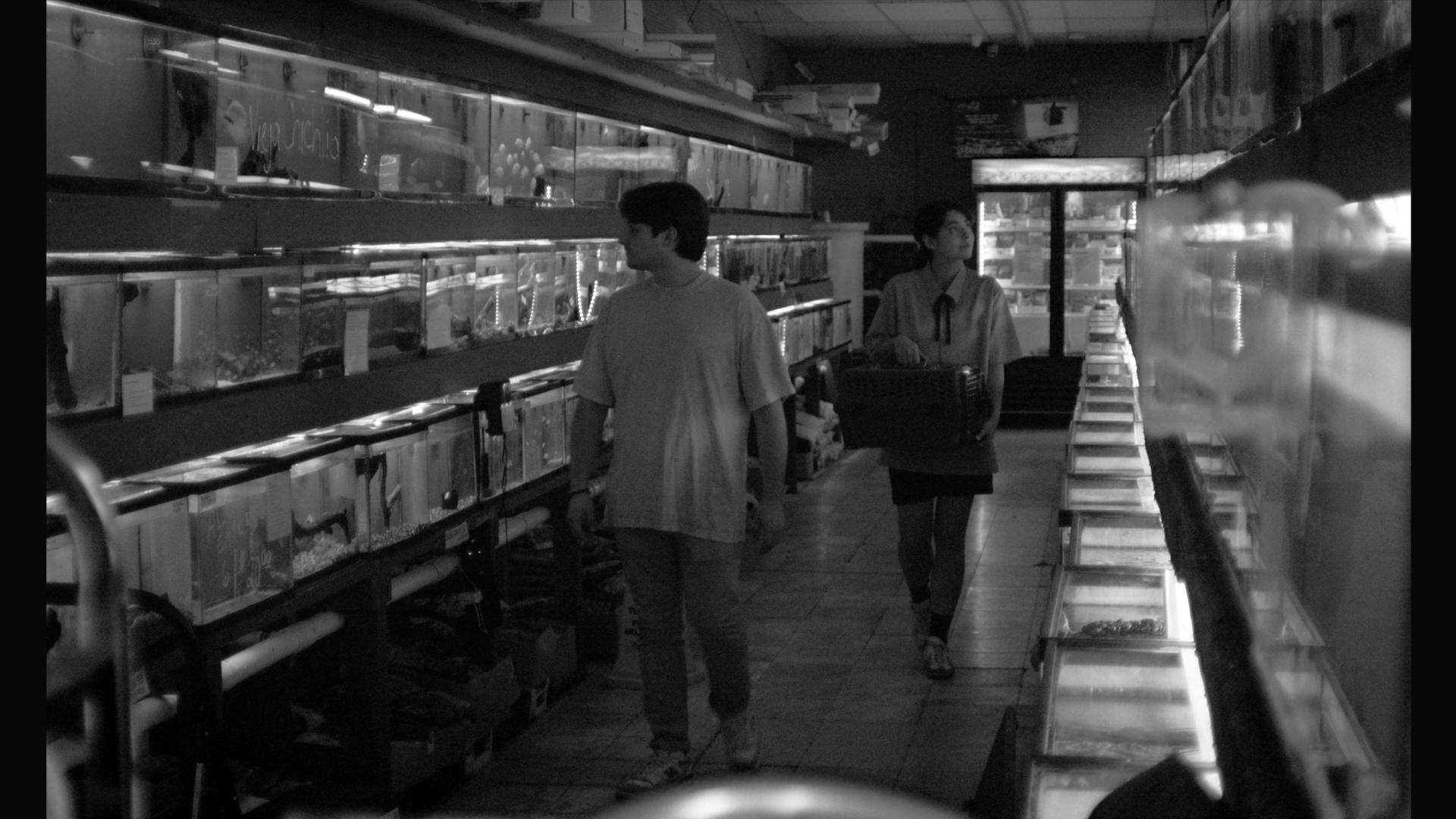 Movie scene
