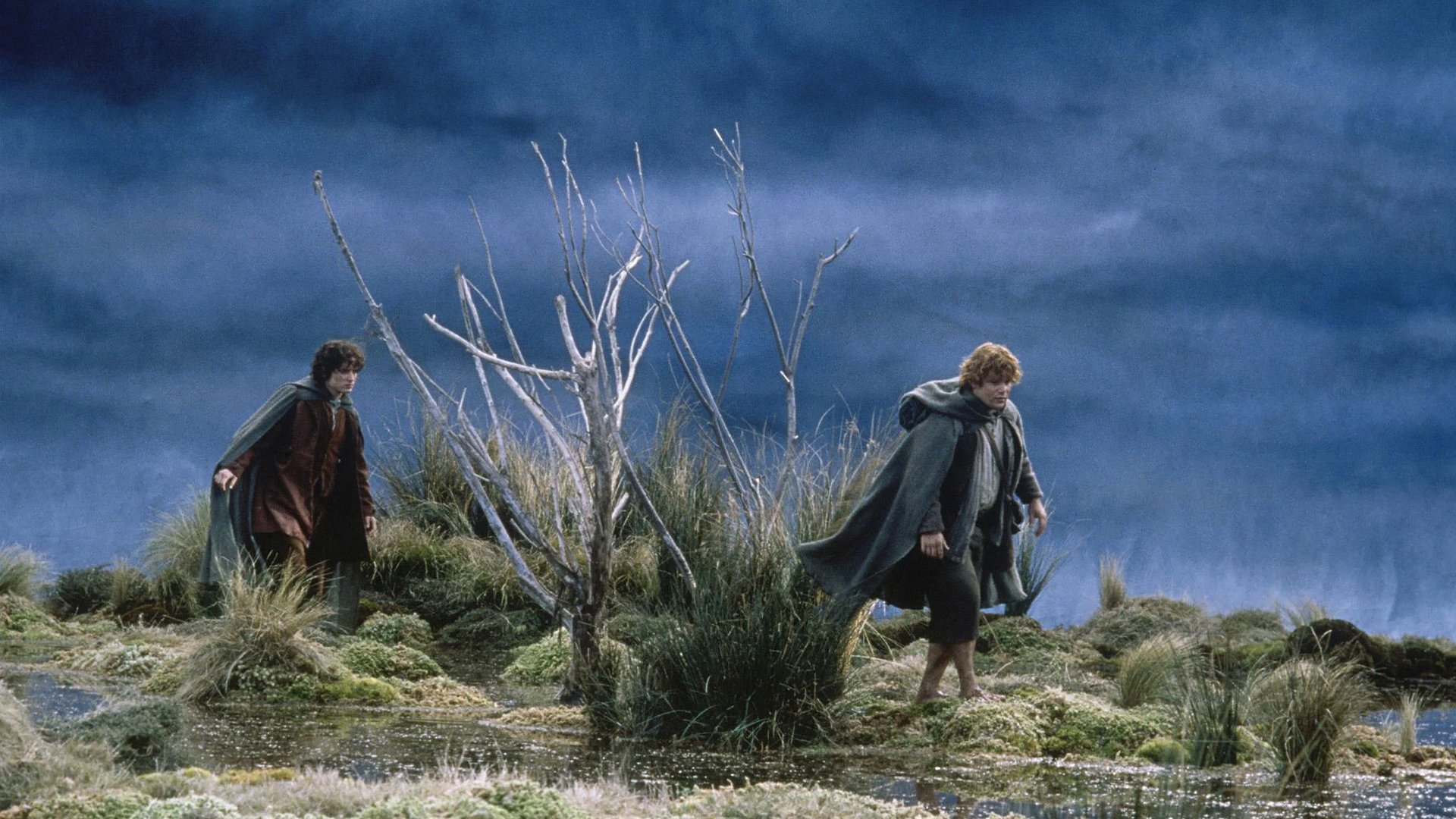 Movie scene