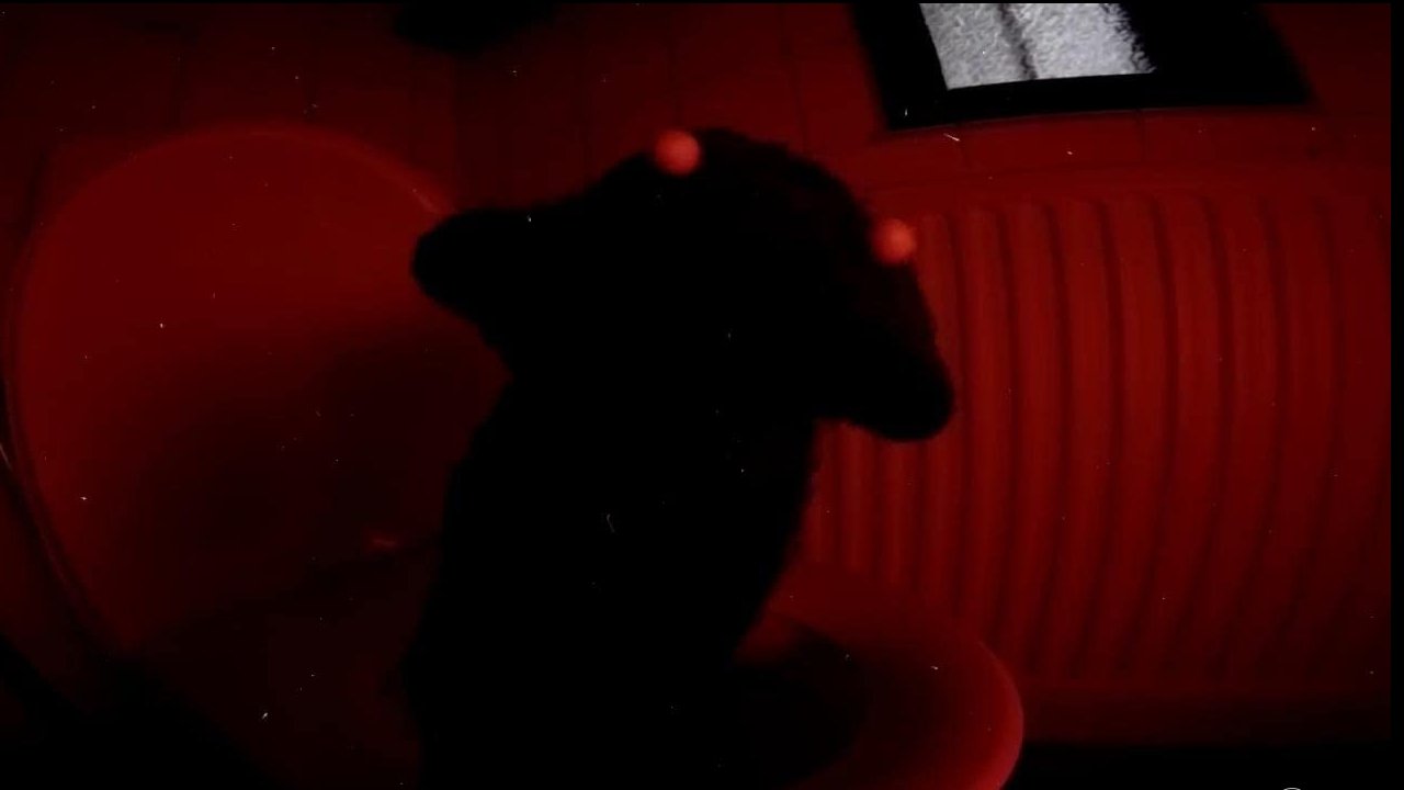 Movie scene