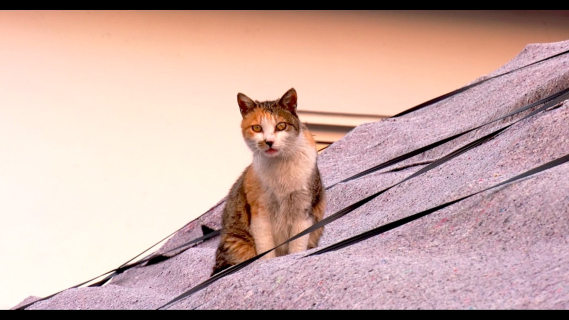 Movie scene