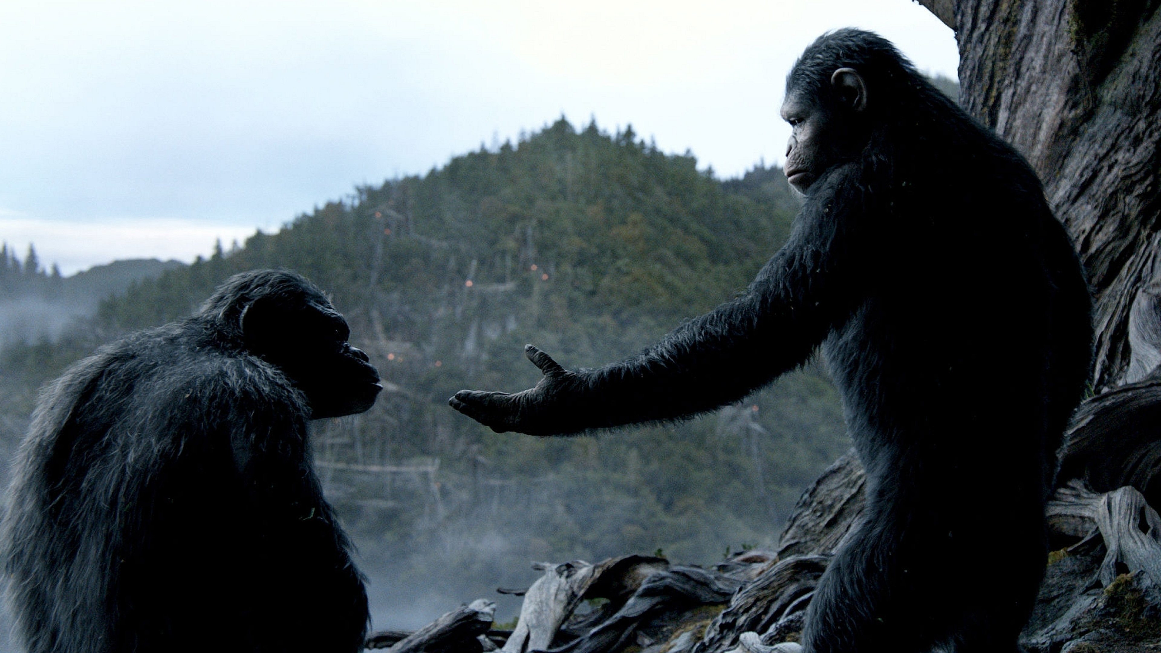 Movie scene