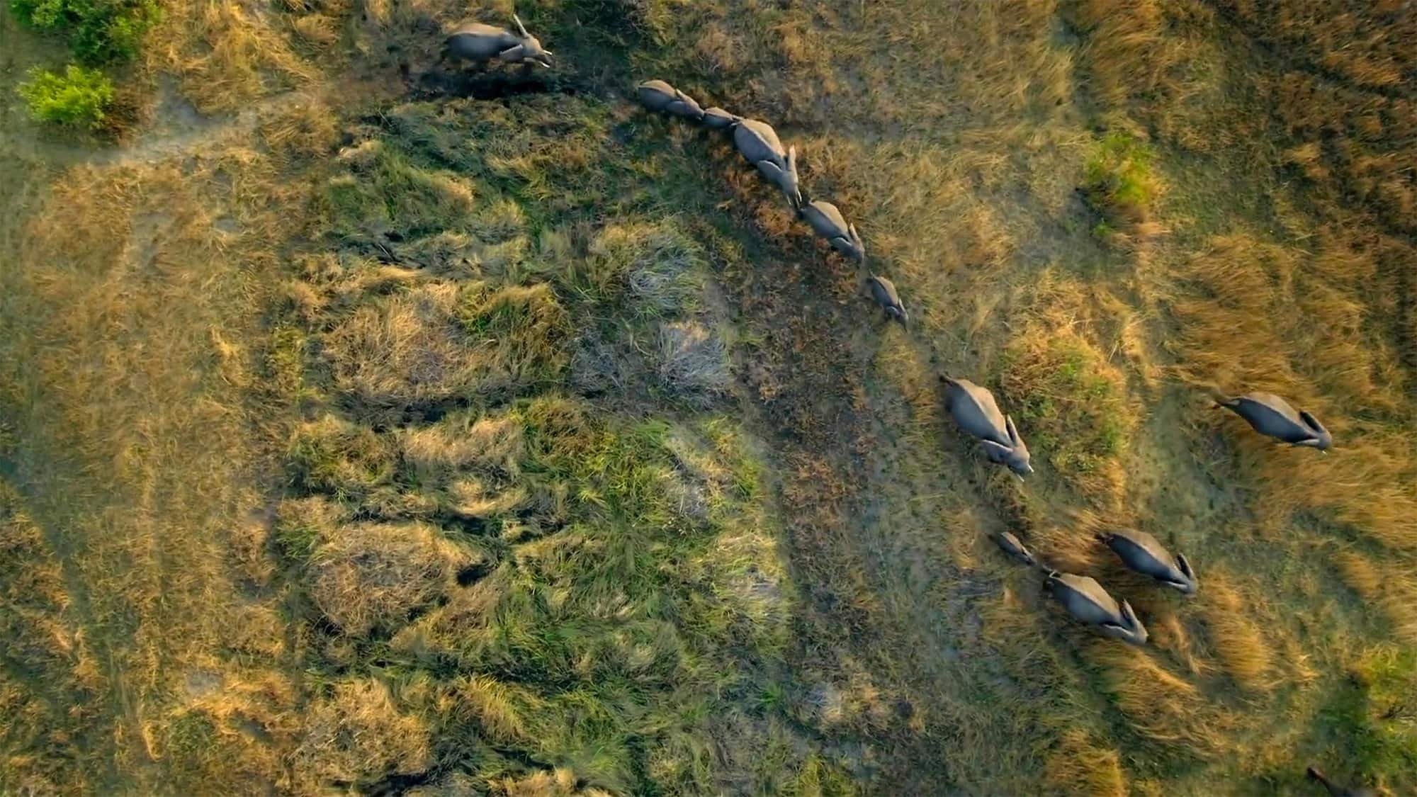 Movie scene