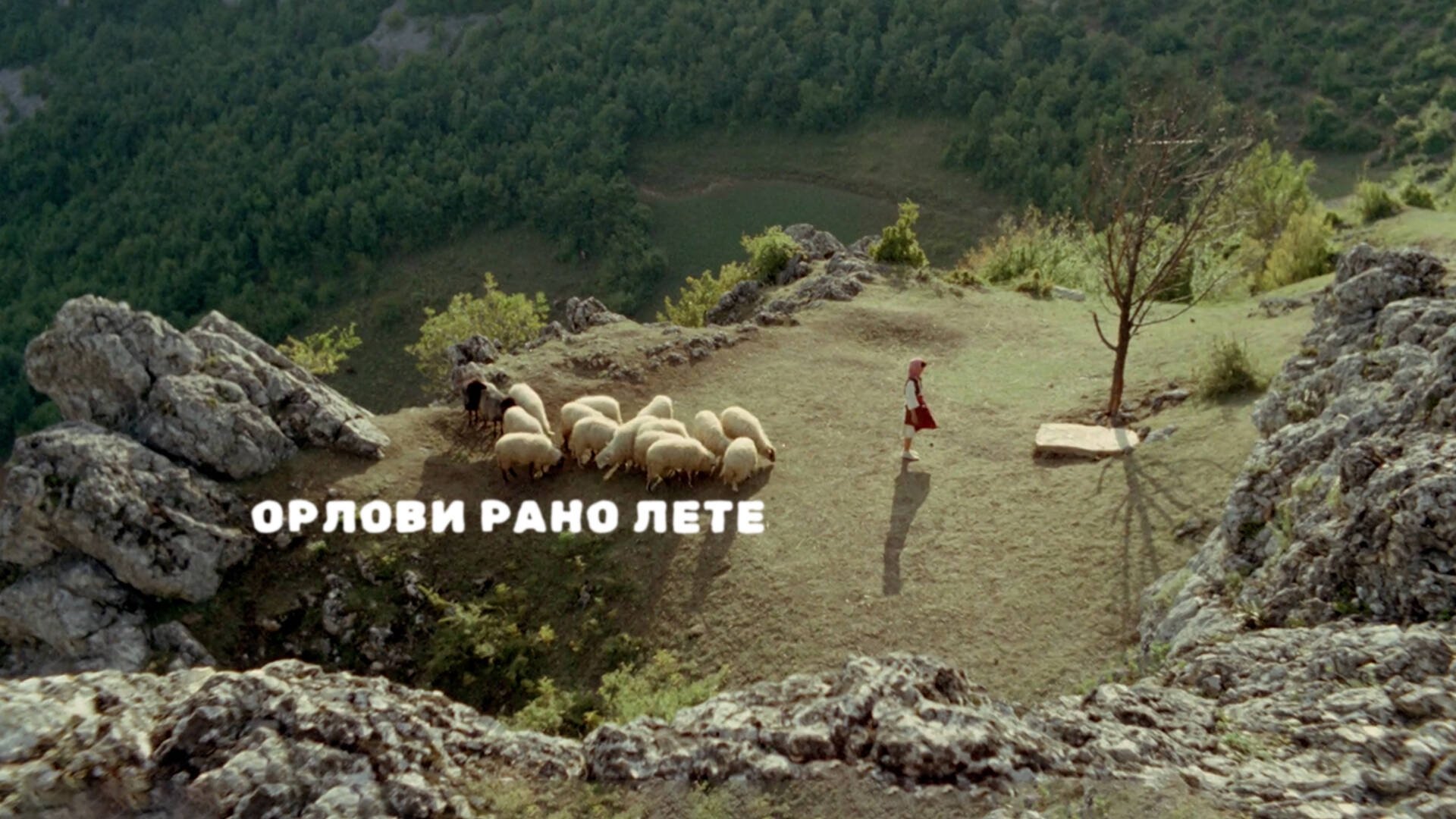 Movie scene