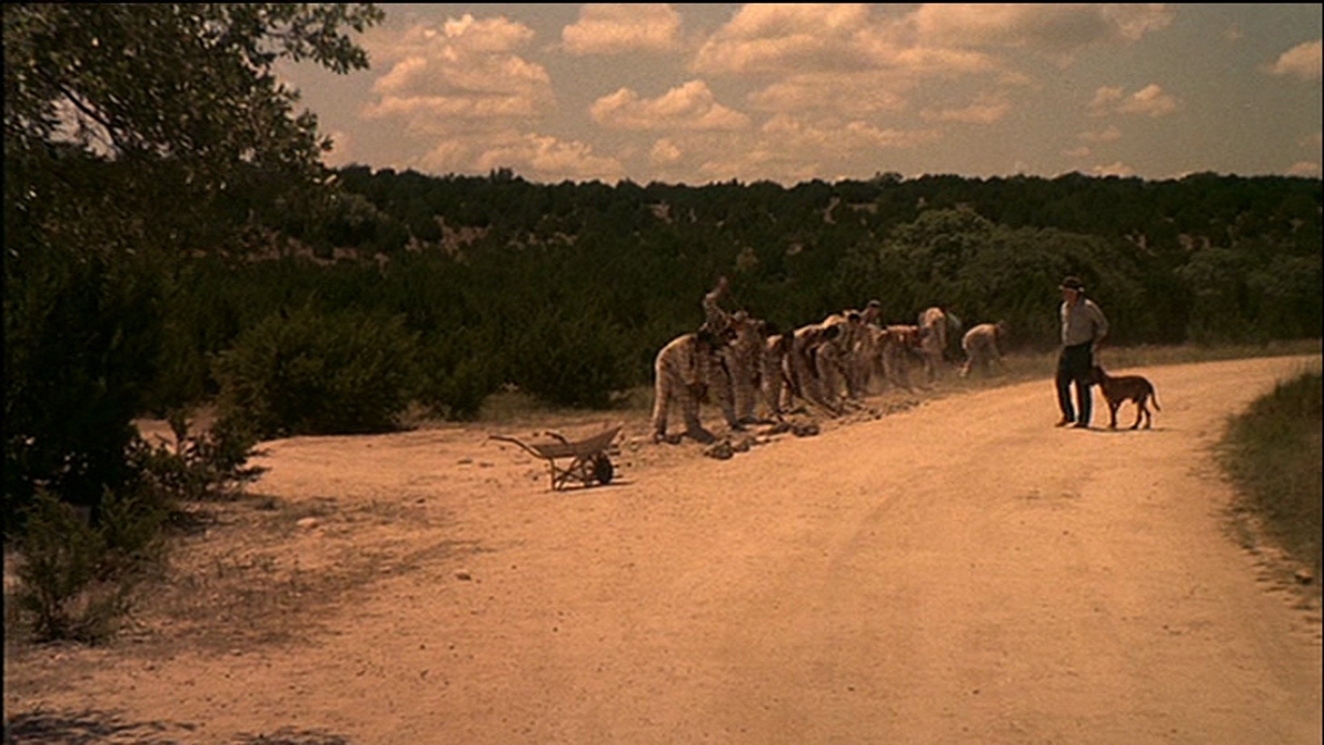 Movie scene