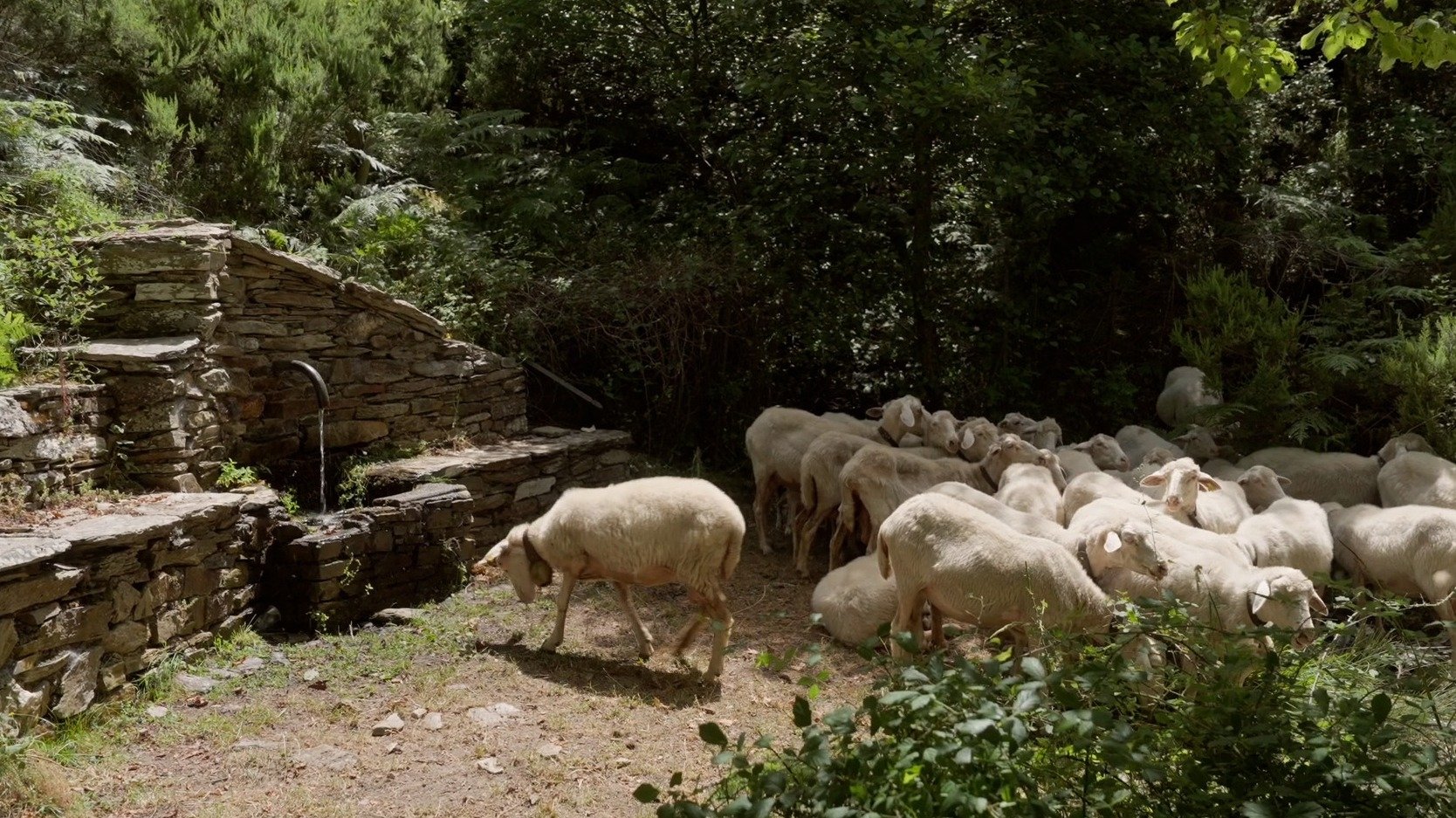 Movie scene
