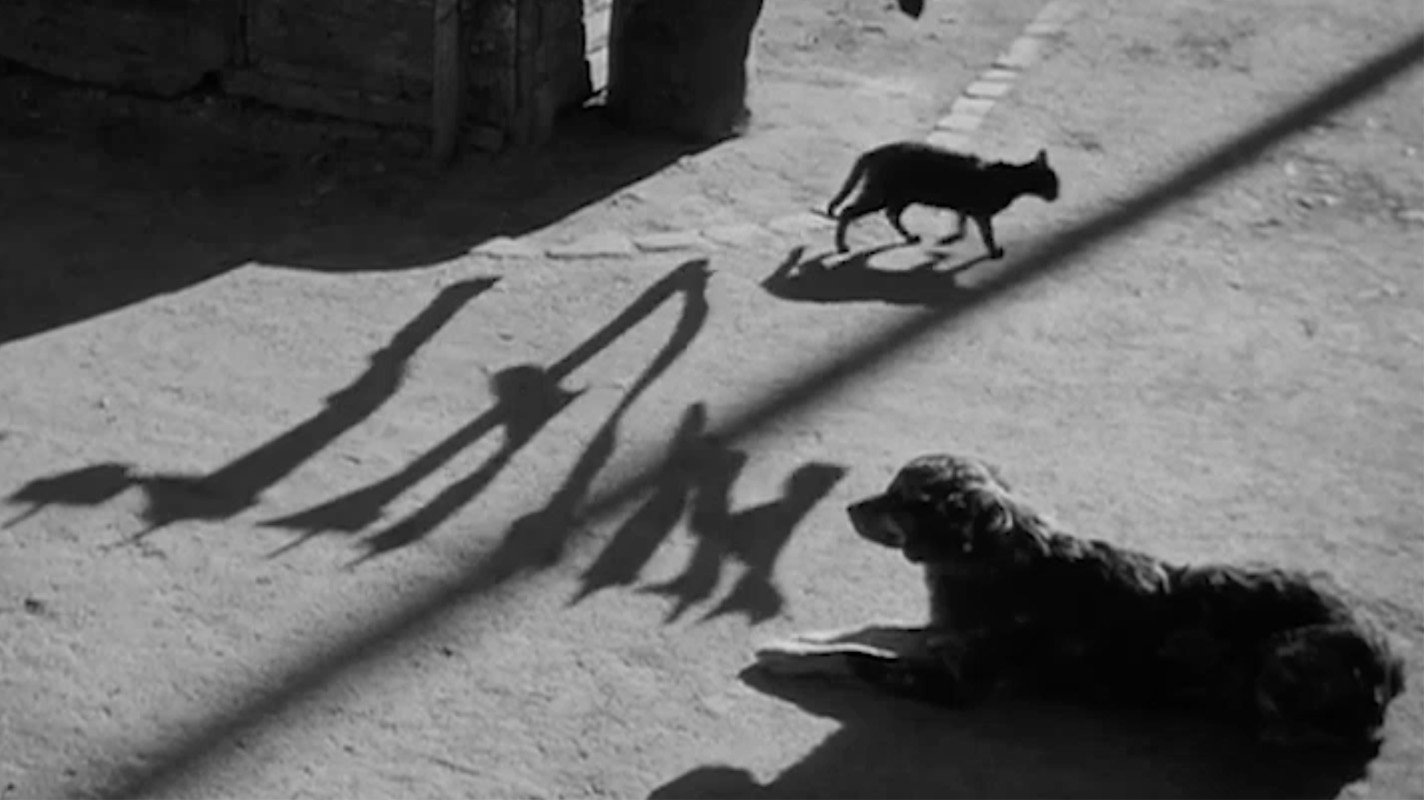 Movie scene