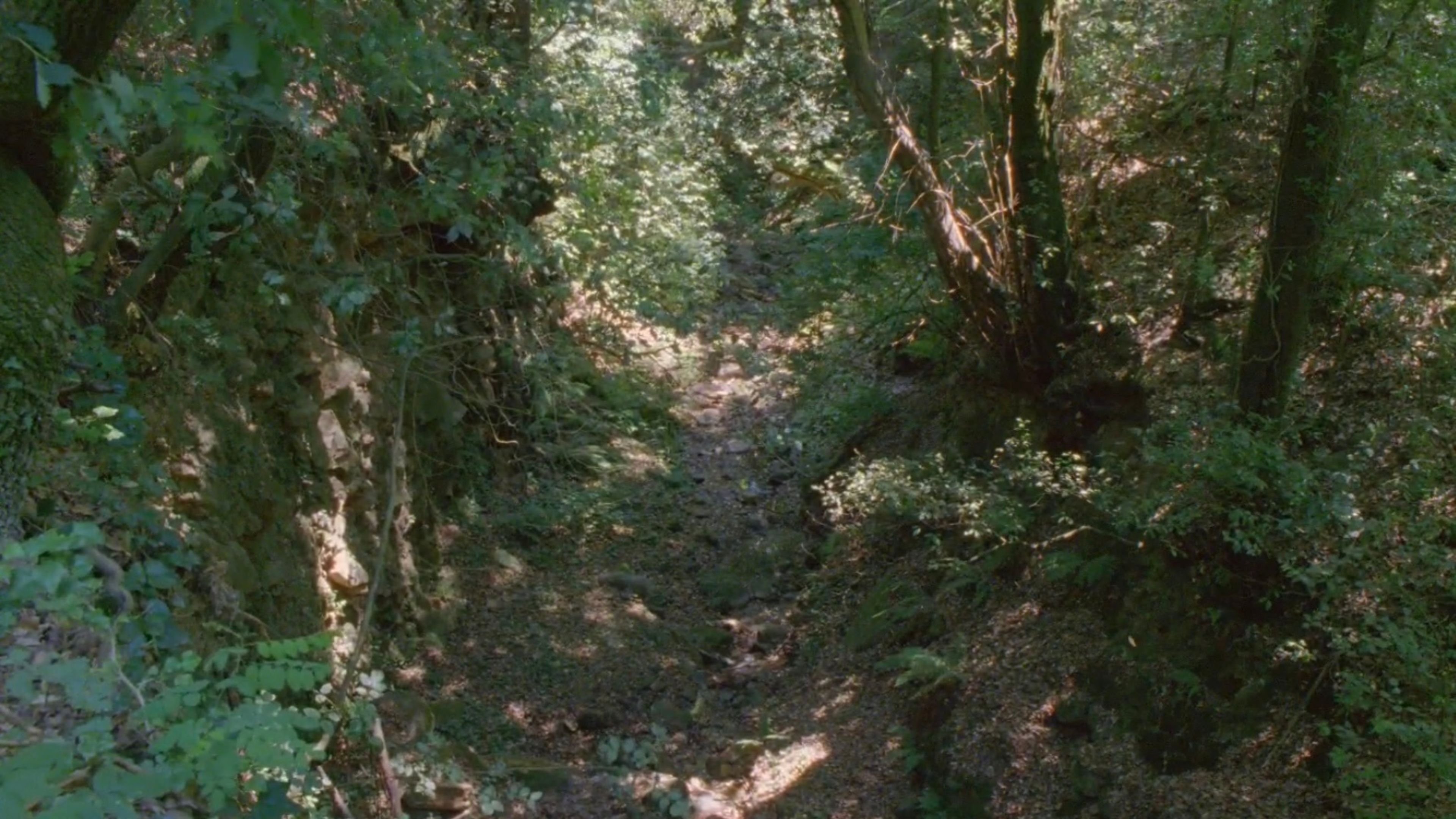 Movie scene