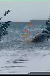 Tuo Dolphins