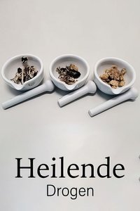 Drugs that Heal: Could Psychedelics Treat Depression?