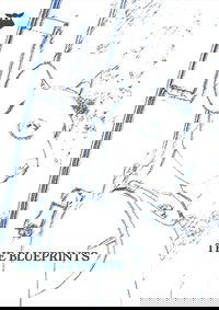 THE BLUEPRINTS