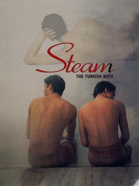 Steam: The Turkish Bath