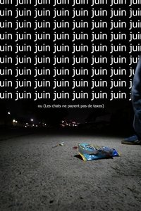 Juin ou (Les chats ne payent pas de taxes)
