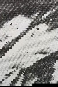 Kenji Kimura