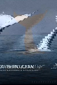 Southern Ocean Live