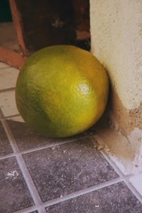 Laranja
