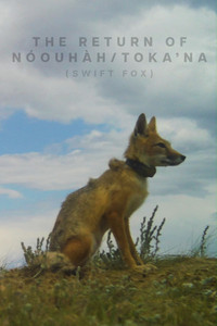 The Return of Nóouhàh-Toka’na