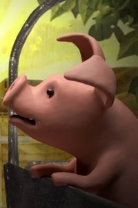 A Pig's Tail