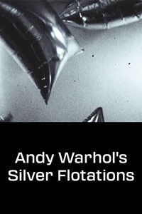 Andy Warhol's Silver Flotations