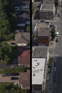 Neighbors in my backyard