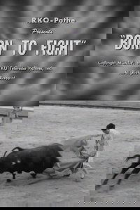 Born to Fight