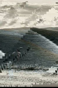 The Road To Podestaria