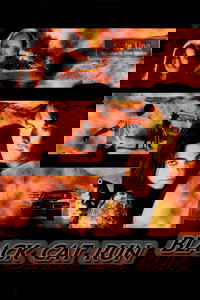 Black Cat Run
