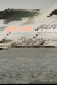 Alive in Joburg