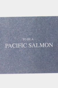 To Be A Pacific Salmon