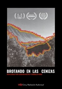 Brotando en las cenizas