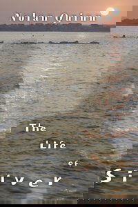 The Life of Silver