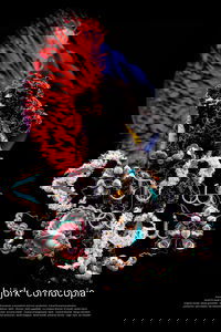 Björk: Cornucopia