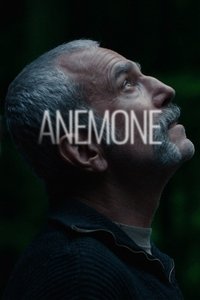 Anemone