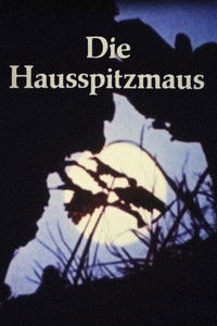 Die Hausspitzmaus