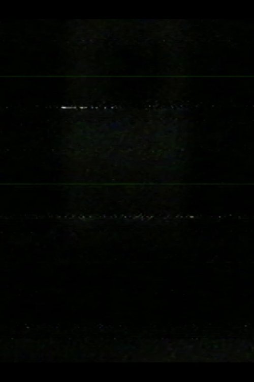 window at night