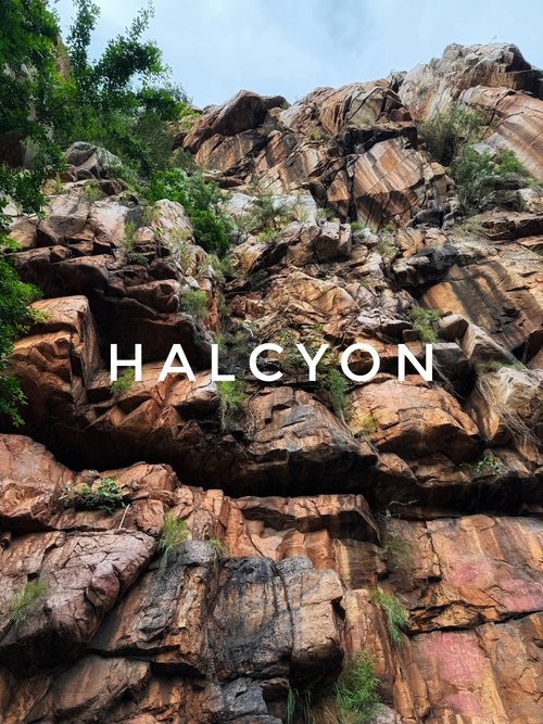 Halcyon