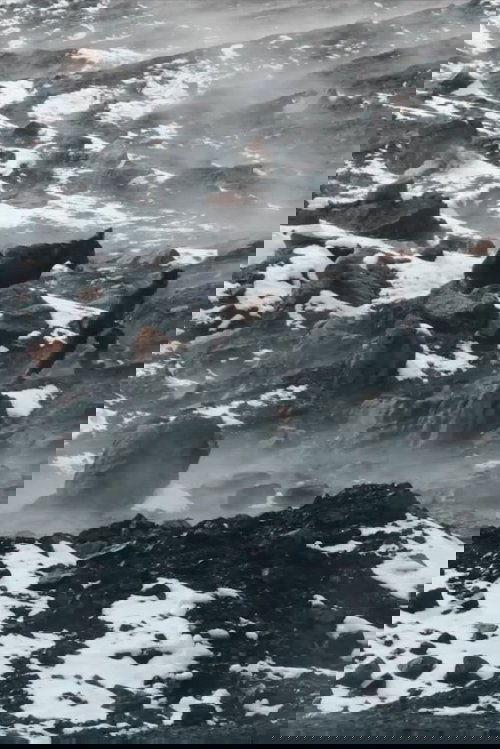 Afghan Coal