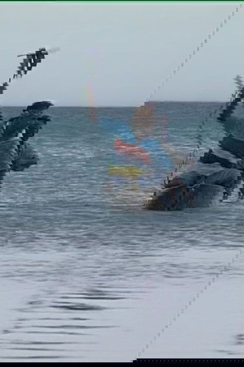 Tuo Dolphins
