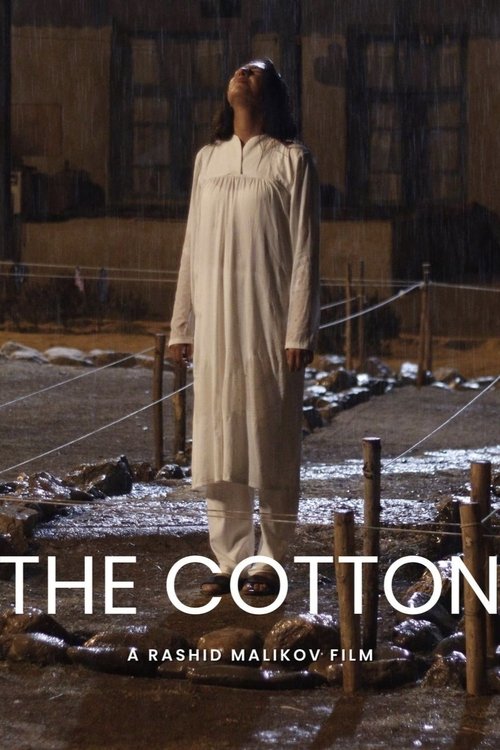 Cotton