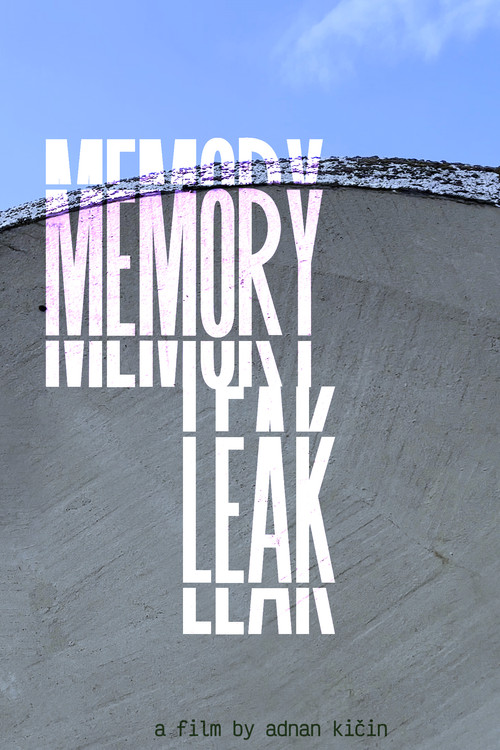 Memory Leak