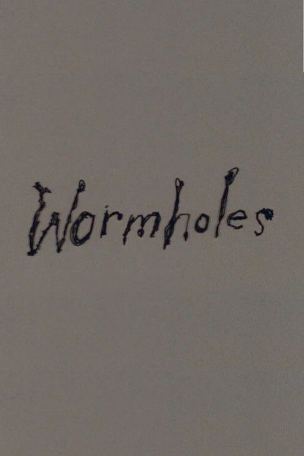 Wormholes