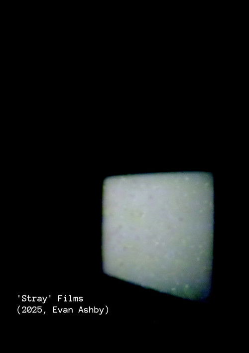 'Stray' Films