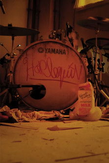 LADY GAGA IN HARLEQUIN LIVE – ONE NIGHT ONLY