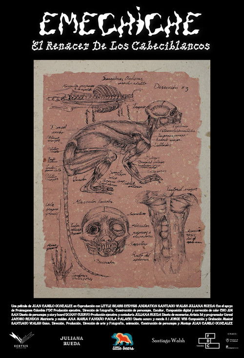 Emechiche, The Rebirth of White-Headed