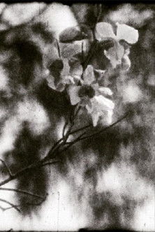 A Thousand Days, A Thousand Nights