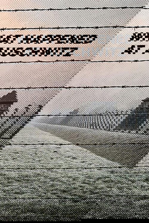 What Happened at Auschwitz