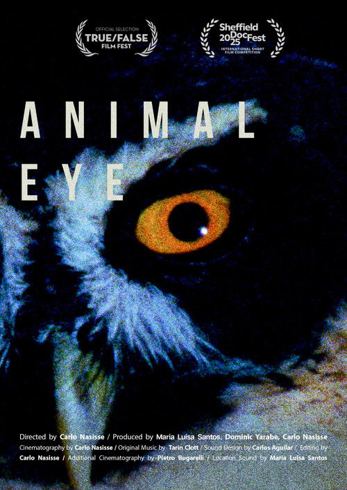Animal Eye