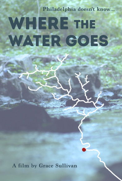 Where the Water Goes