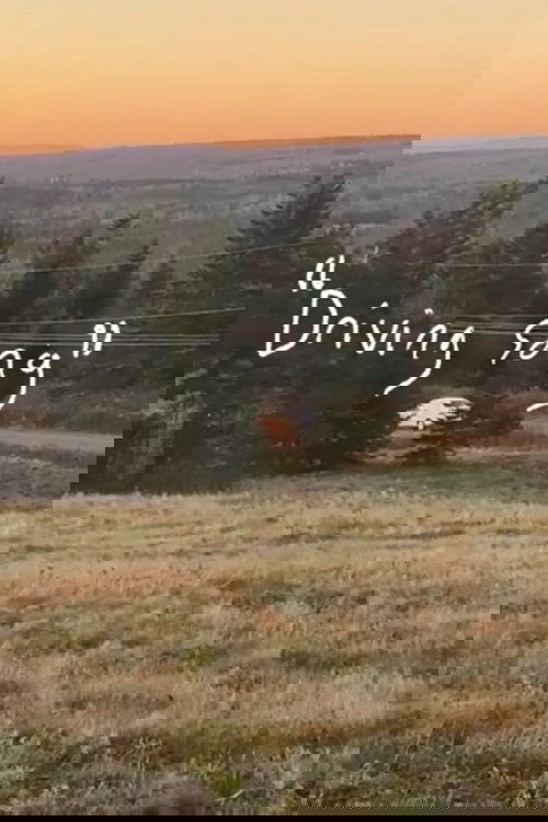 Driving Song