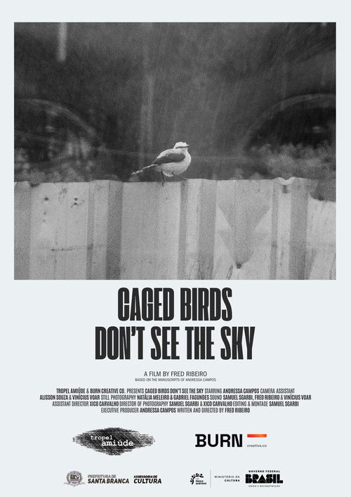 Pássaros Enjaulados Não Veem o Céu