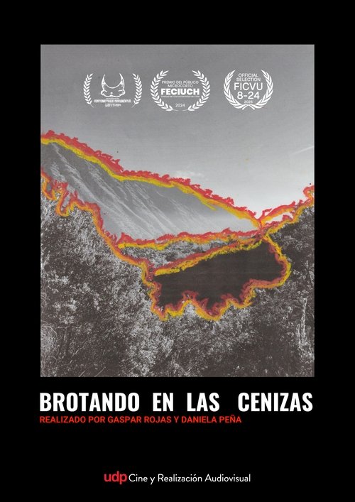 Brotando en las cenizas